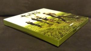 Ladilafé (Edition Spéciale Fnac) - Greenwashing (03)